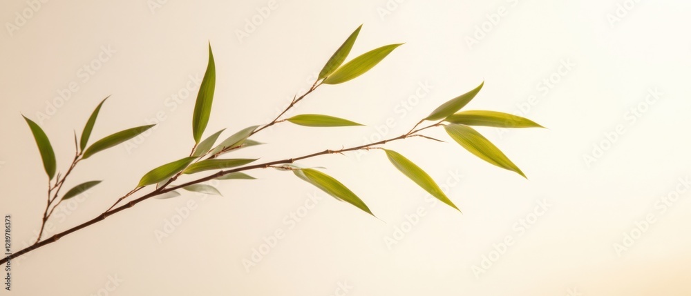Naklejka premium minimalist Bamboo Branch on Beige Background