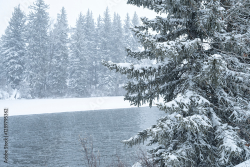 Snake River during snowstorm; Grand Teton NP; Wyoming photo