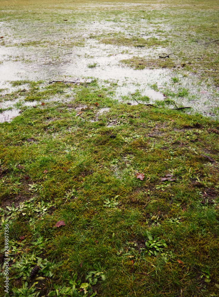 flooded field flooded field