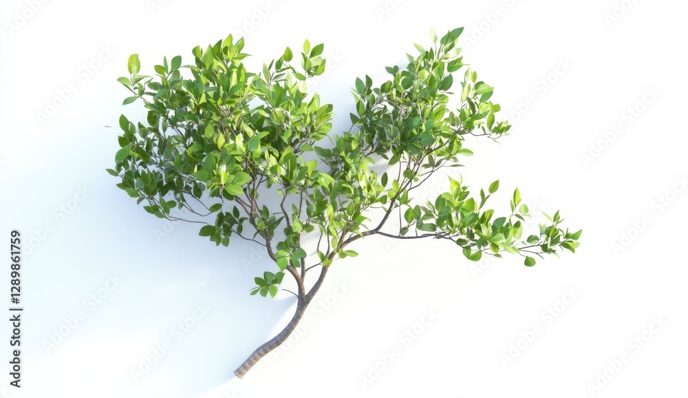 Lush Green Branch with Vibrant Leaves Isolated on White Background Lush Green Branch with Vibrant Leaves Isolated on White Background