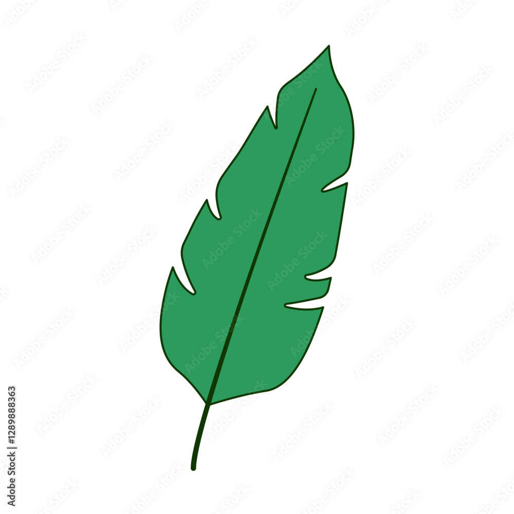 leaf illustration leaf illustration