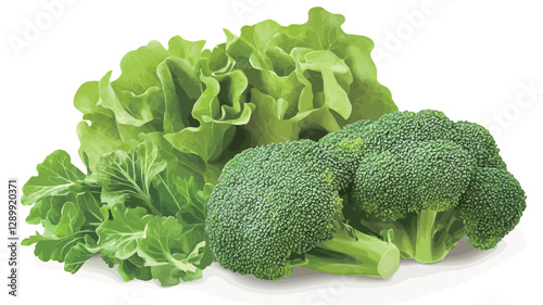 Close-up studio shot of a cluster of fresh broccoli florets and lettuce leaves against a bright white background.  The image is sharply focused, showcasing the vibrant green color and