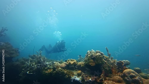 Wallpaper Mural underwater Philippines scuba diving. tourism destination for coral reef and shipwrecks diving in Coron, Palawan.  Torontodigital.ca