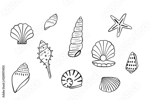 Sketched seashell icon set, vector hand drawn design elements.