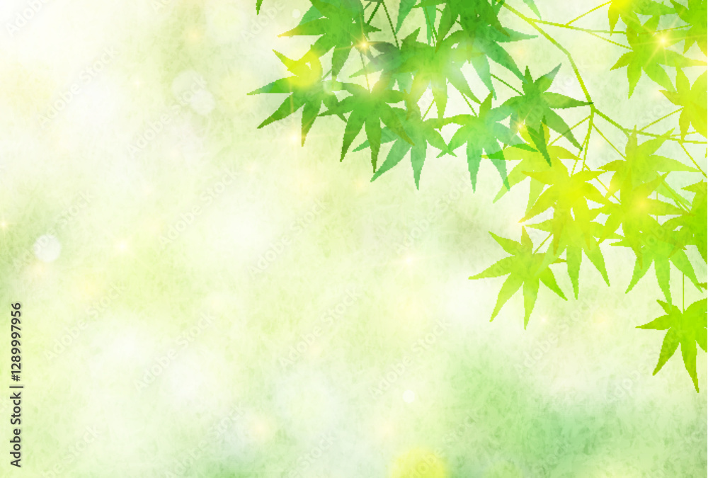custom made wallpaper toronto digital新緑　もみじ　葉　背景
