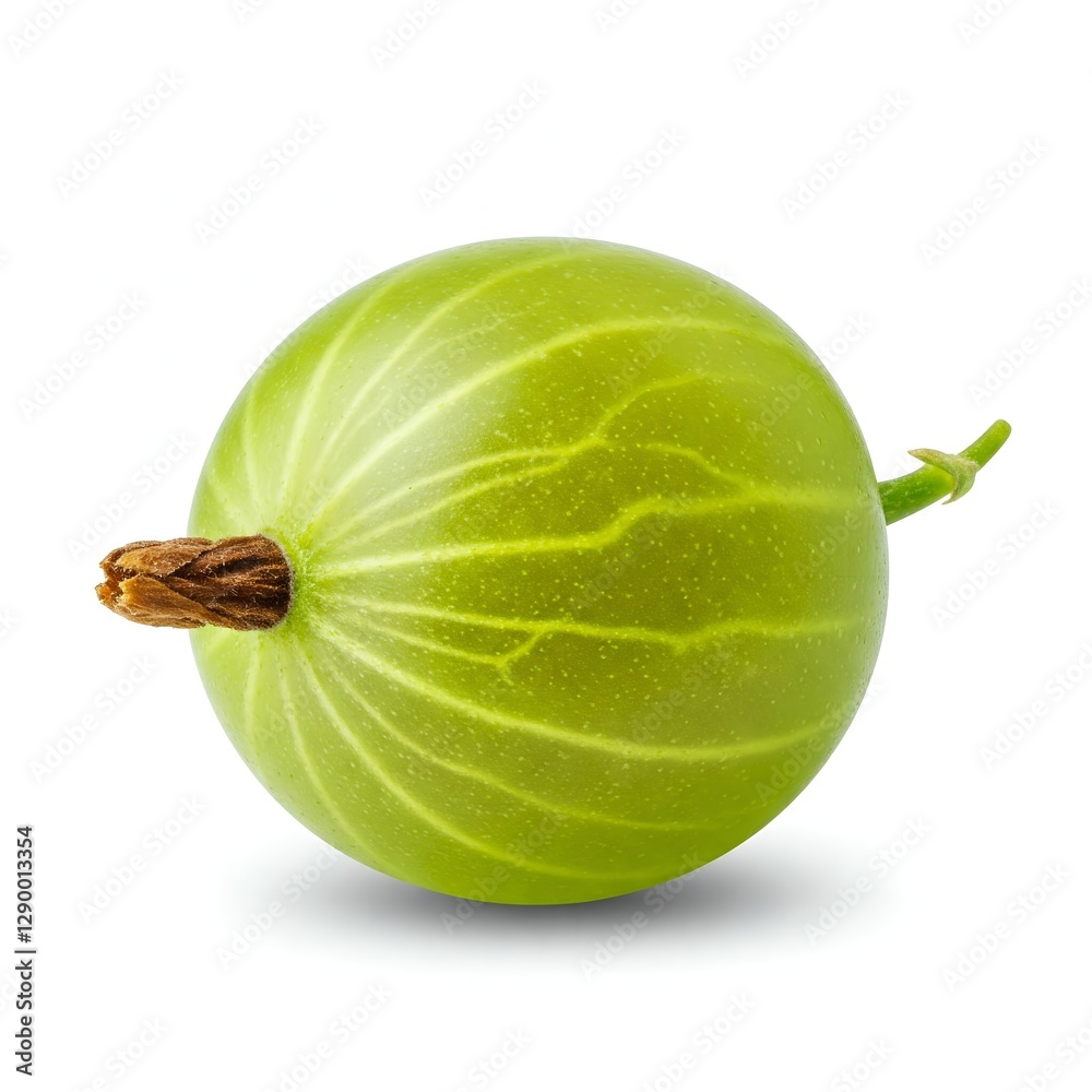 A gooseberry, isolated on a white background. A gooseberry, isolated on a white background.