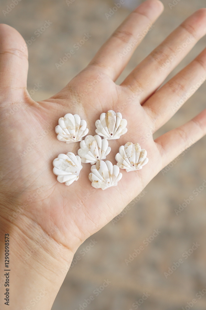 Handmade white and translucent seashell from polymer clay