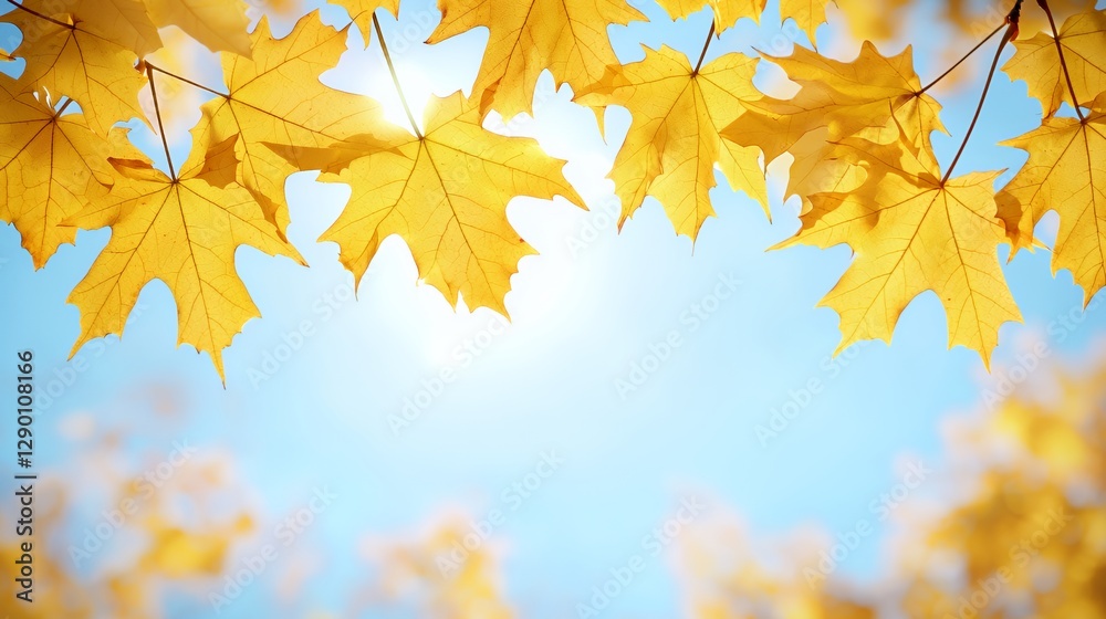 Golden Maple Leaves Against a Bright Blue Sky Golden Maple Leaves Against a Bright Blue Sky