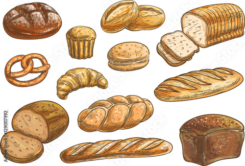 Bread sorts and bakery icons. Vector pencil sketch rye bread, ciabatta, wheat bread, muffin, bun, bagel, sliced bread, french baguette, croissant pretzel biscuit
