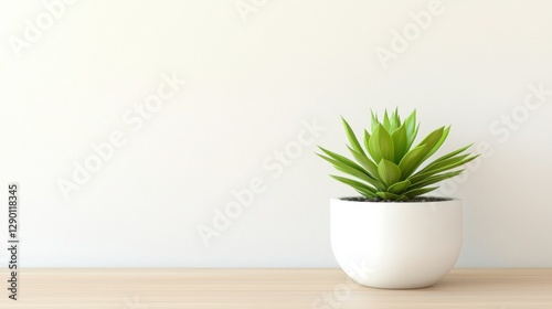 Serene indoor scene featuring vibrant green succulent in white pot against a minimalist textured wall