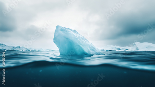 Iceberg in Icy Waters: An i...