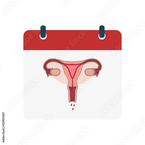 menstruation