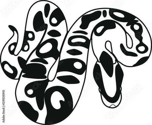 Black-and-white snake tropical reptile vector illustration
