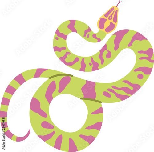 Colorful snake tropical reptile vector illustration