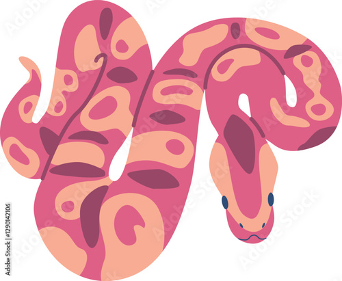 Colorful snake african reptile wildlife