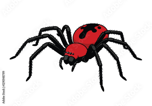 Big spider clipart. A red and black spider with detailed legs and body. Vector illustration design.