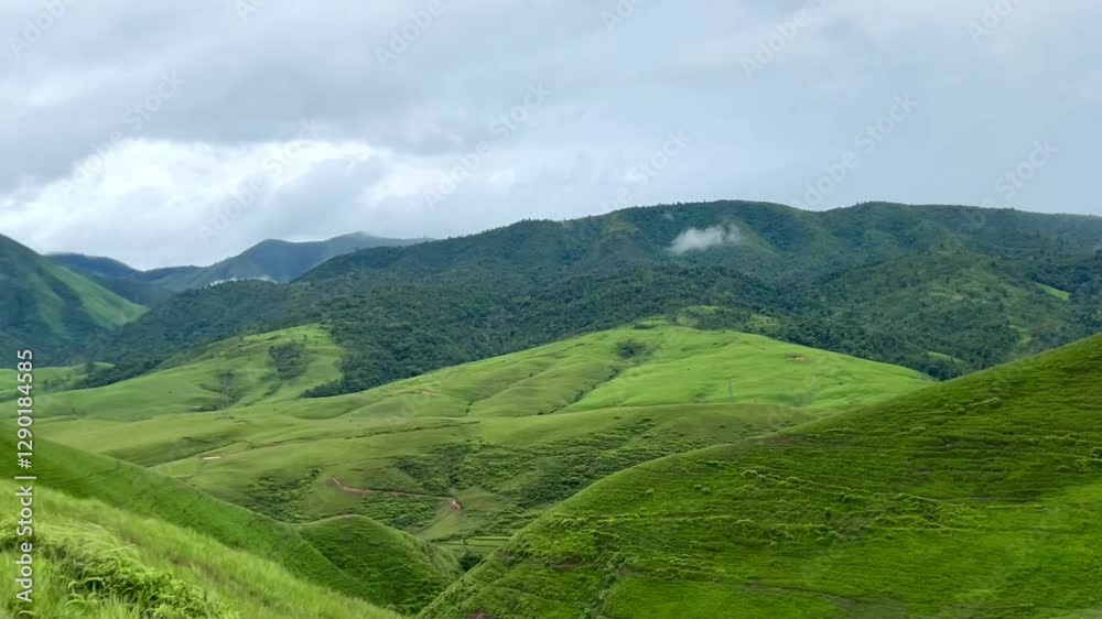 The beautiful mountains grass at Phu Hua Lon, Xaysomboun Province, Lao PDR. tourism of laos. The beautiful mountains grass at Phu Hua Lon, Xaysomboun Province, Lao PDR. tourism of laos.