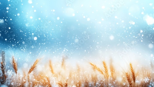 Winter Wheat Field Snowfall Background photo