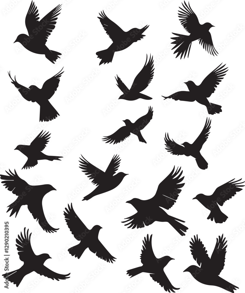 Obraz premium Set of birds flying vector silhouette