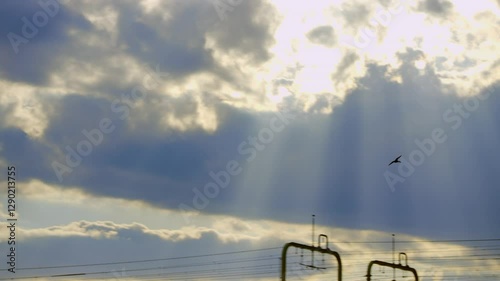 Birds,Migratory Birds,Sunset,Overhead Power Lines,Rays of Light,Sunset Clouds