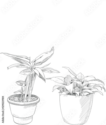 Cute hand drawn houseplant in a pot sketch illustration [Home gardening], digital composition and architecture visualisation 03