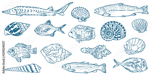 Hand drawing of sea shells and fish . Vector illustration of icon in chalk drawing style, marker, line art. 