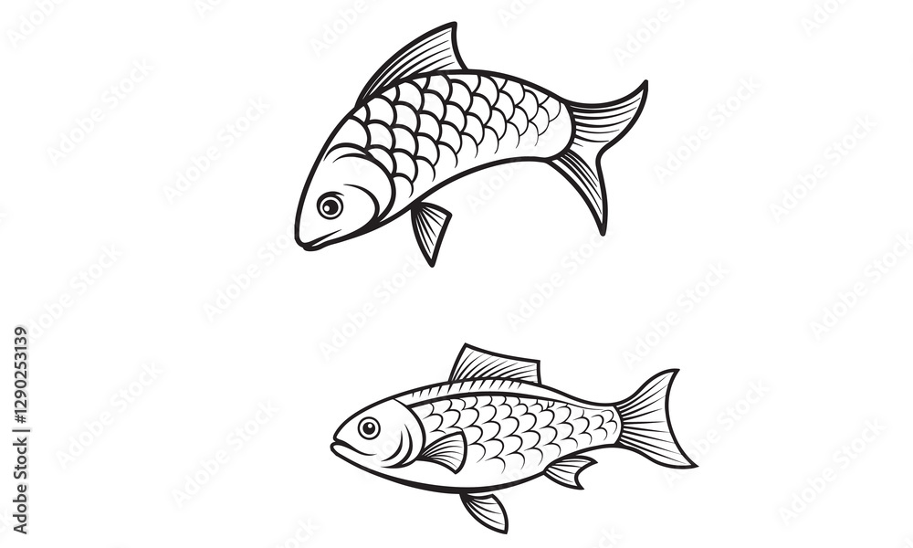 Fototapeta premium galie fish vector 