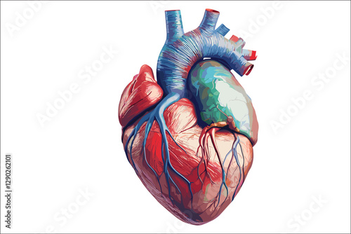 Anatomy of Love The Human Heart in Art.