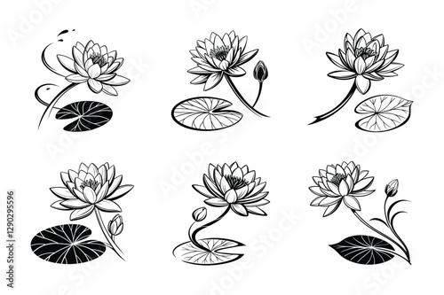 White Water Lily (Nymphaea nouchali) silhouette vector illustration