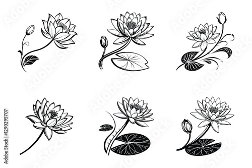 White Water Lily (Nymphaea nouchali) silhouette vector illustration