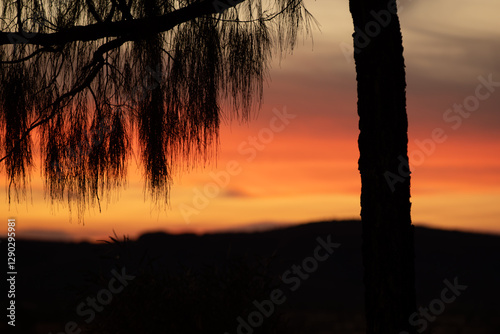 Sunrise over  Watarrka National Park - Kings Canyon, Northern Territory.	 photo