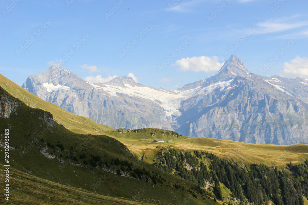 Fototapeta premium スイスの山々