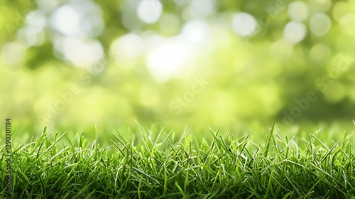 Serene Waterfalls Cascading Through Lush Green Valley