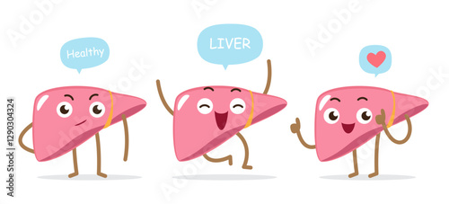 Happy healthy liver . Set of cute medical cartoon characters . Isolated on white background . Vector .