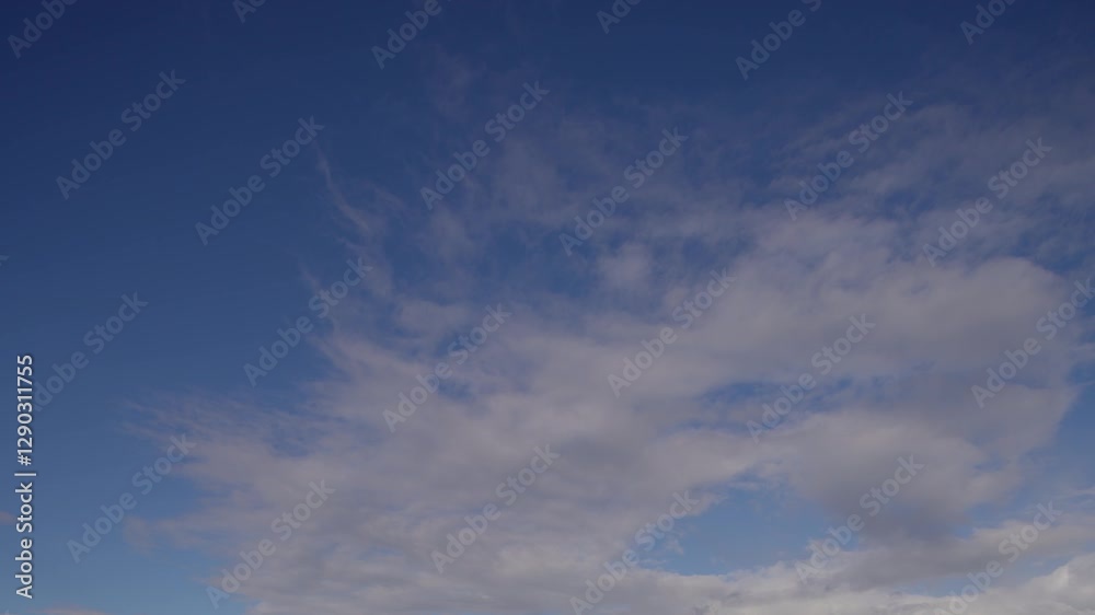 Floating Cumulus Clouds Under a Vibrant Blue Sky Floating Cumulus Clouds Under a Vibrant Blue Sky
