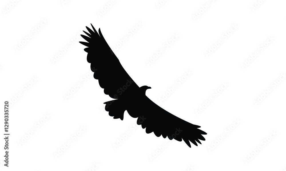 Obraz premium Flying African fish eagle bird Silhouette Design And Vector Illustration. 