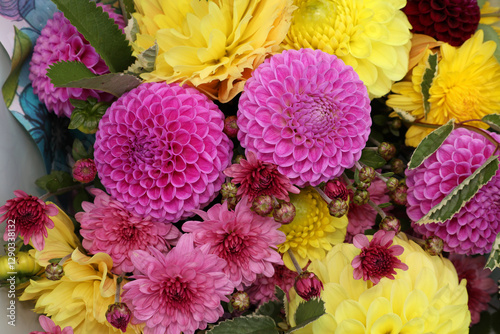 Wallpaper Mural pompom pink dahlias look spectacular in a bouquet with yellow chrysanthemums Torontodigital.ca