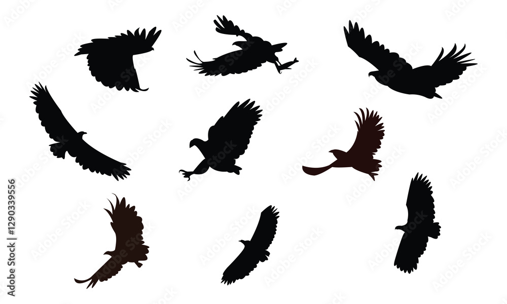 Obraz premium Flying African fish eagle bird Silhouette Design And Vector Illustration.