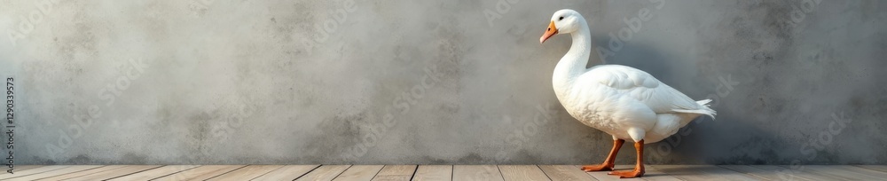 Obraz premium Elegant white goose against a textured wall, standing on wooden planks, animal, wildlife, white goose