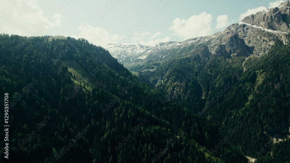 Fototapeta premium Drone view of a high-altitude valley with rocky peaks and slopes overgrown with spruce forest