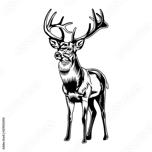 deer hunting illustration logo vector image t shirt