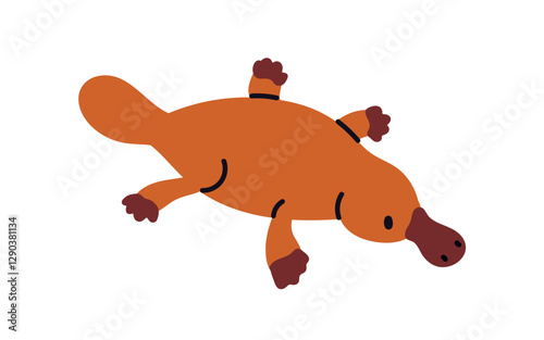 Duck-billed platypus, exotic Australian underwater mammal. Tropical endemic animal, wild fauna from Australia nature. Flat graphic vector illustration isolated on white background