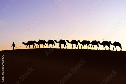 Obraz na płótnie Sunrise silhouette of camels and handler, Merzouga w salonie