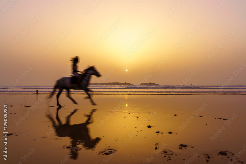 Sunset silhouette of horse and rider, beach of Essaouira