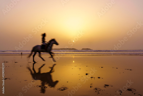Obraz na płótnie Sunset silhouette of horse and rider, beach of Essaouira w salonie
