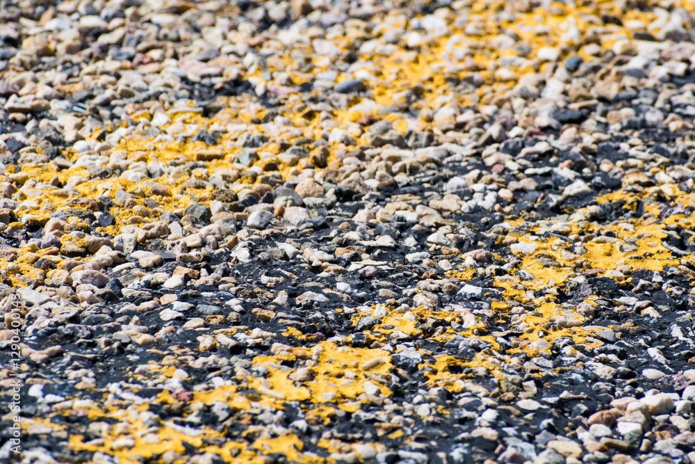 This image showcases a textured surface of gravel, beautifully intertwined with striking yellow accents, bringing attention to its intricate patterns and colors. This image showcases a textured surface of gravel, beautifully intertwined with striking yellow accents, bringing attention to its intricate patterns and colors.