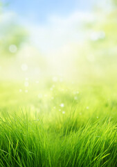 Beautiful blurred spring nature background with young green juicy grass against blue sky on a sunny day.