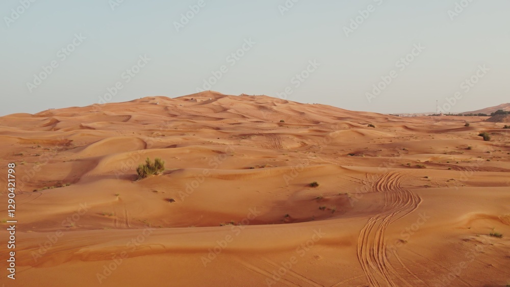 Red desert dunes with sparse vegetation among the sand with traces of cars driving off-road. Drone video Red desert dunes with sparse vegetation among the sand with traces of cars driving off-road. Drone video
