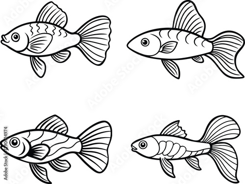 Elegant Guppy Fish Line Art Beautiful Black And White Illustration of Graceful Aquarium Fish.