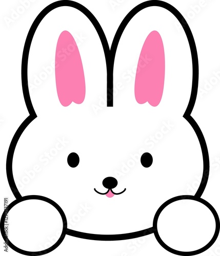 토끼, rabbit